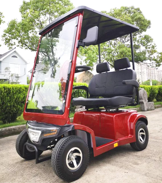 莱纳瑞 900ES 双人代棚代步车